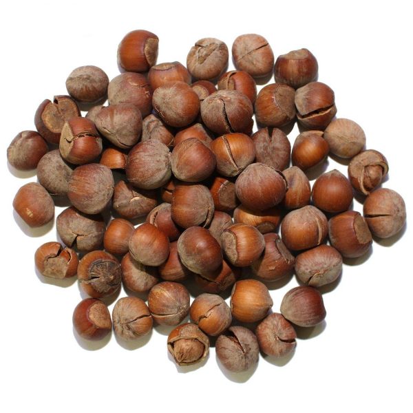 فندق خام